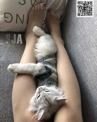 快穿之以身诱之渺渺h_4K在线手机播放