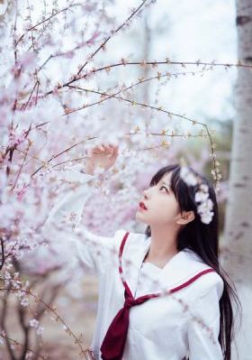 洪湖赤卫队电视剧免费观看_高清免费观看